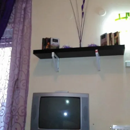 Purple Butterfly Studio In City Center