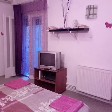Διαμέρισμα Purple Butterfly Studio In City Center
