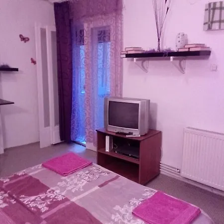 Purple Butterfly Studio In City Center דירה בוקרשט