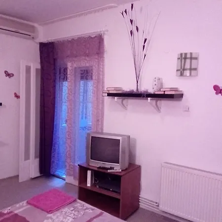 Purple Butterfly Studio In City Center 부쿠레슈티