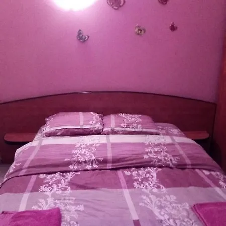 Purple Butterfly Studio In City Center Apartment