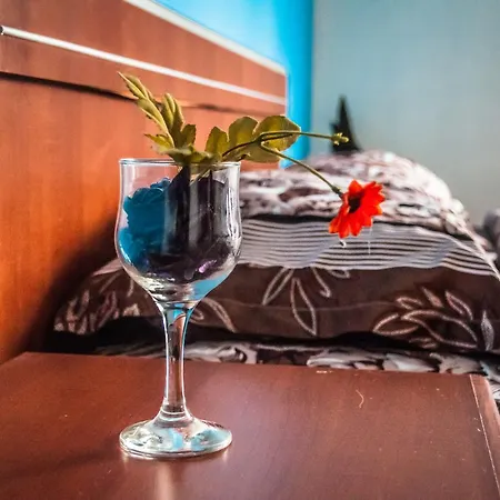 Purple Butterfly Studio In City Center Bucharest